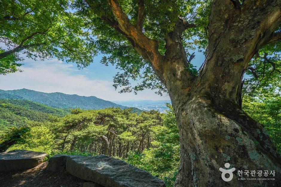 도성암(달성)