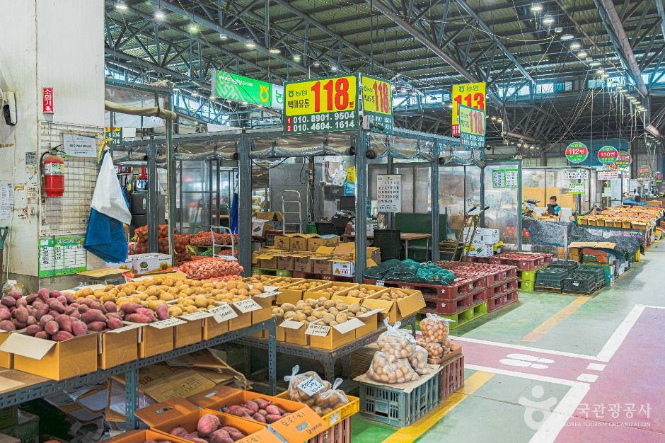 광주_서부농수산물도매시장 (4)