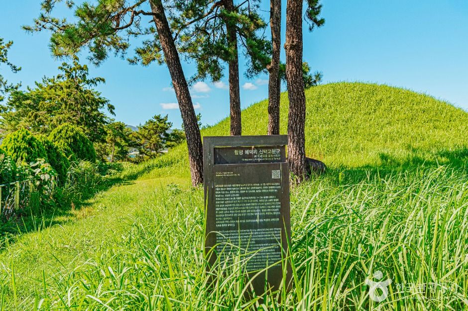 함평_함평예덕리고분군 (1)