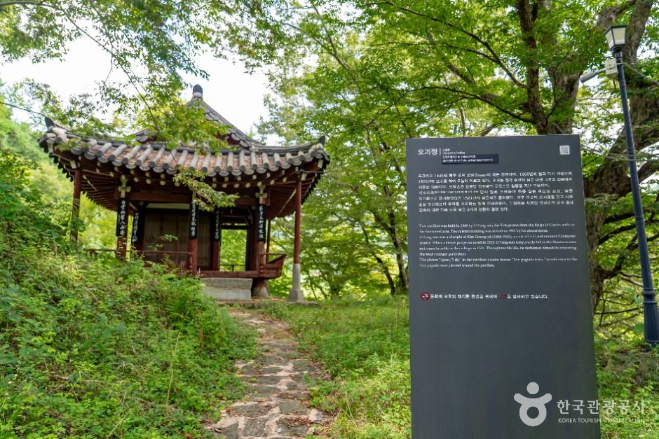 오괴정