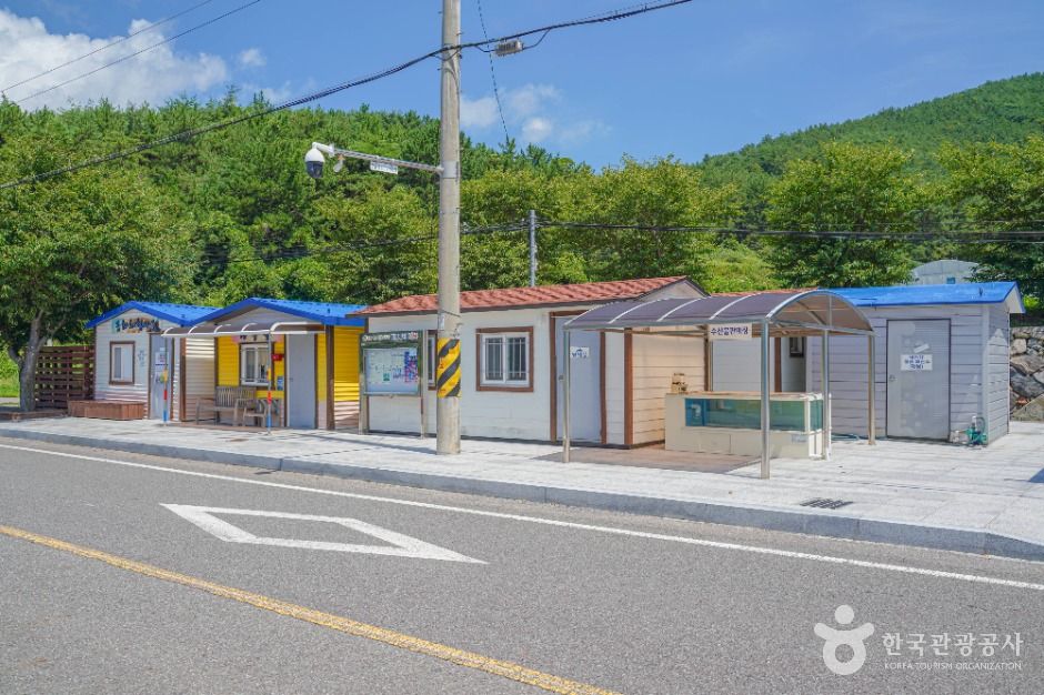 thumbnail-동화어촌체험마을-5