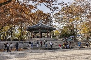 서울_남산 팔각정 (4)