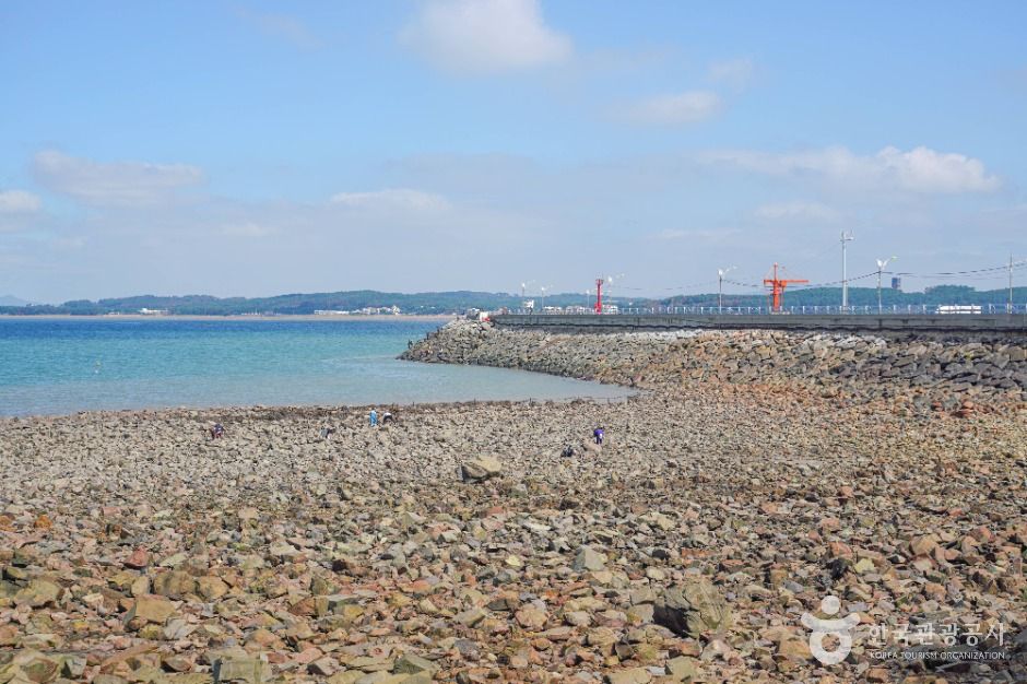 태안_마검포항 (5)