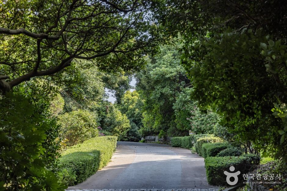 thumbnail-장사도해상공원 까멜리아-22