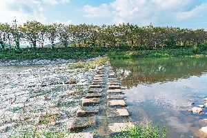 경천애인 징검다리길