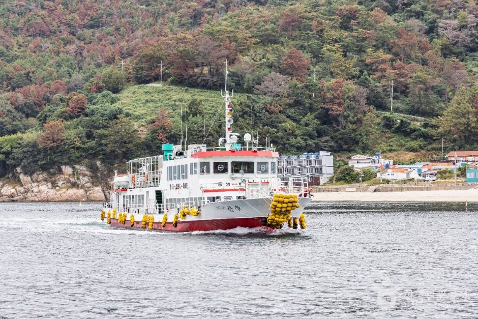 통영_비진도 외항 (4)