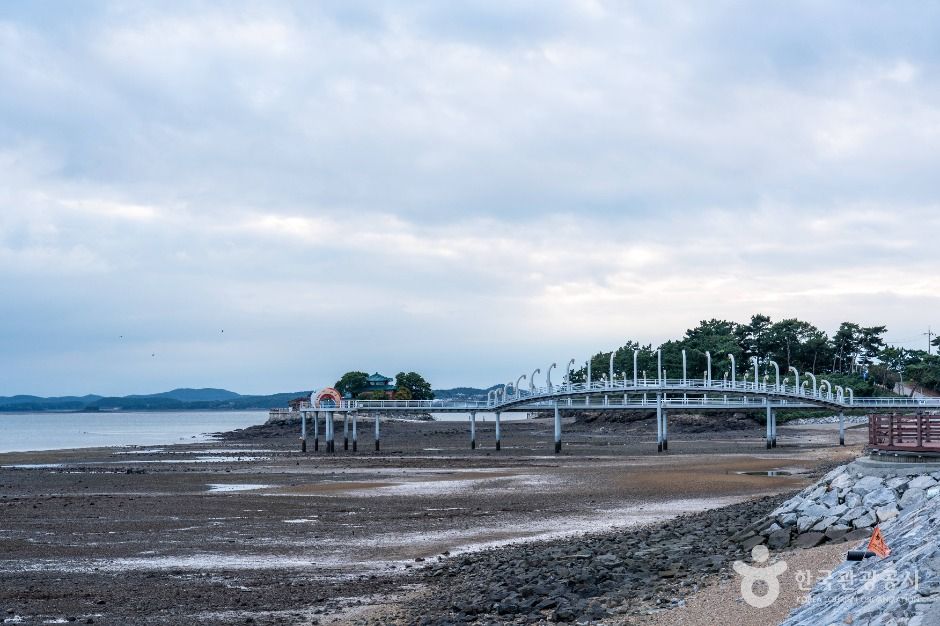 천수만(철새도래지)