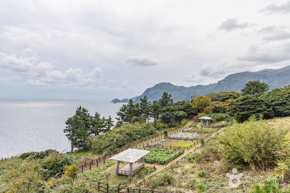 관음도 (울릉도, 독도 국가지질공원)