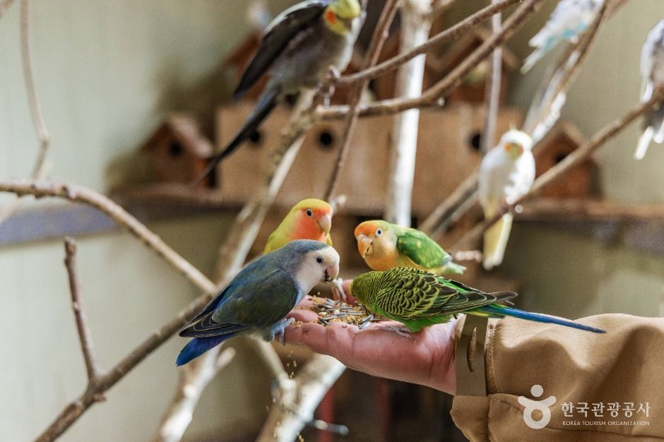 thumbnail-익산 액션하우스-1