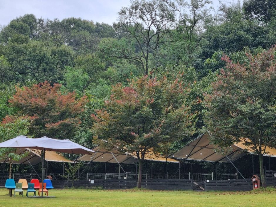 괴산_루파니애견캠핑장 (4)