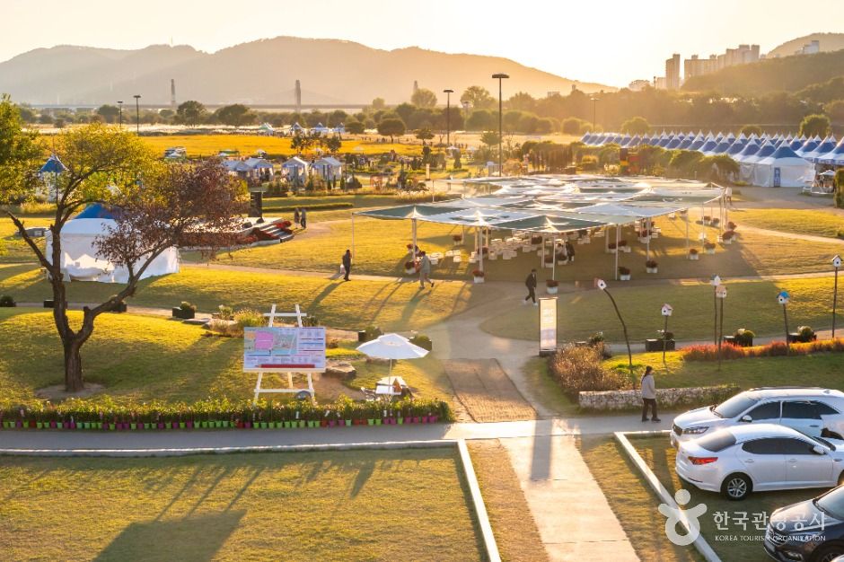 대구 하중도 (금호꽃섬)