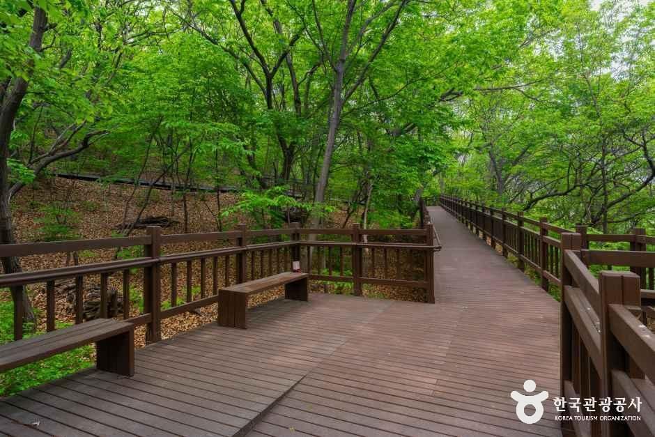 thumbnail-갈매구릉산자락길-16