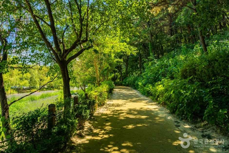 thumbnail-조례호수공원-8