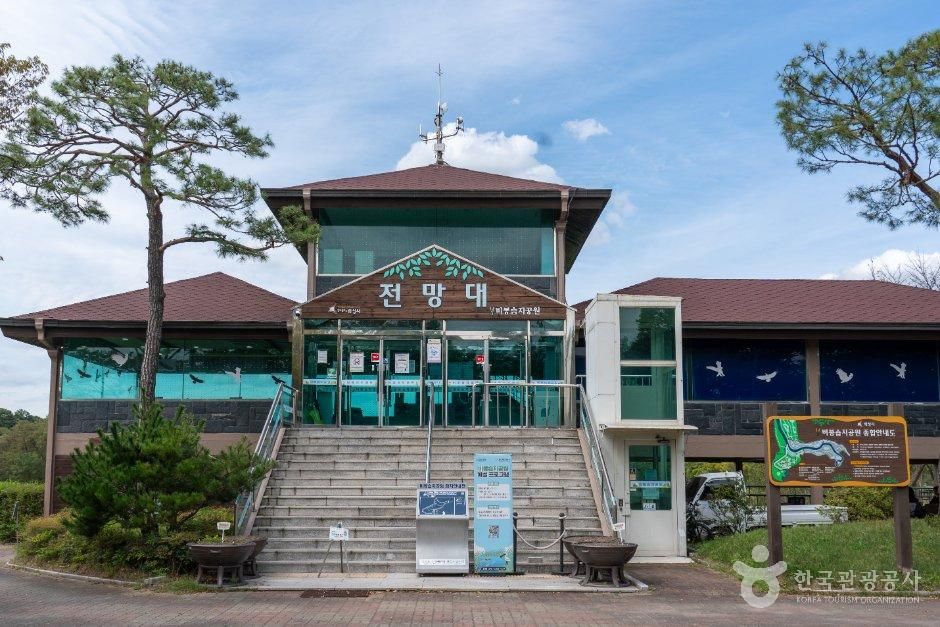thumbnail-비봉습지공원-17