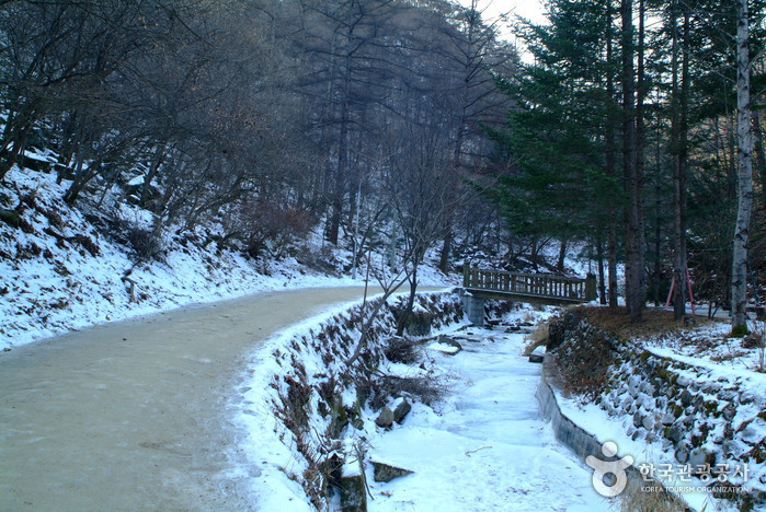 Gugok Falls (구곡폭포)