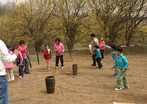 Icheon Baeksa Sansuyu Flower Festival (이천백사 산수유꽃축제)