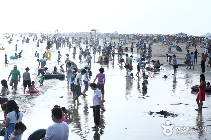 Dadaepo Beach (다대포해수욕장)