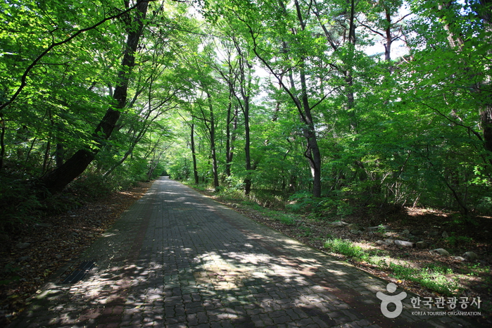 thumbnail-Seongnamsa Temple (석남사 울산)-5