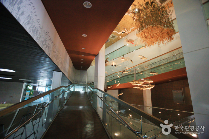 Ecocentro del Estuario del Río Nakdonggang (낙동강하구에코센터)