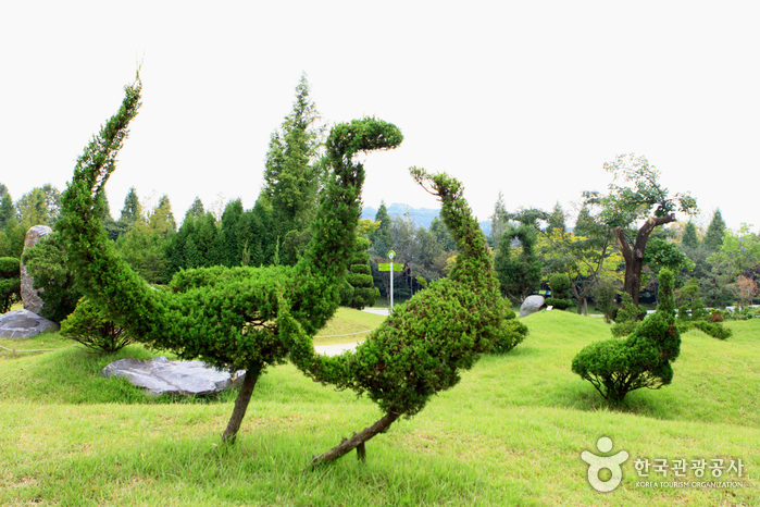 Mulhyanggi Arboretum (물향기수목원)