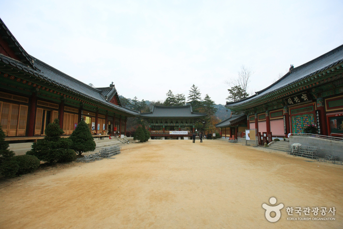 Woljeongsa Temple (오대산 월정사)