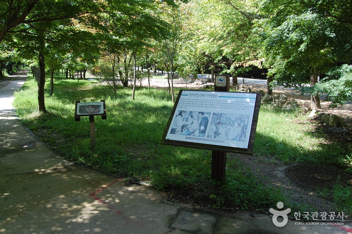 내장산국립공원 사진23