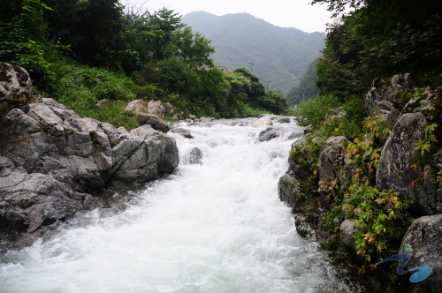 명지계곡 사진8