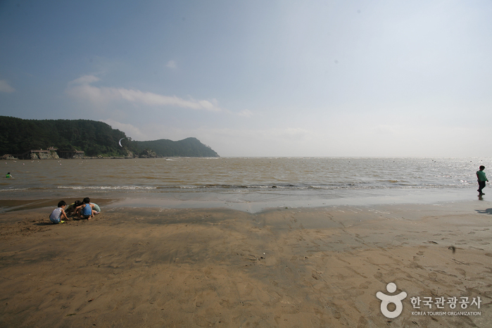 Dadaepo Beach (다대포해수욕장)