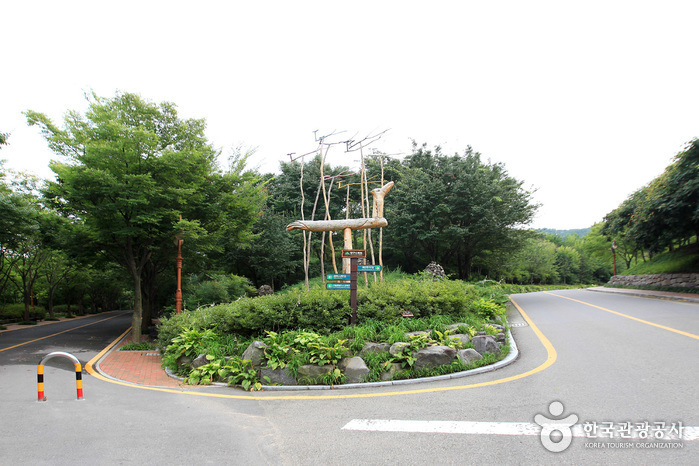 Arboretum de Daegu (대구수목원)0