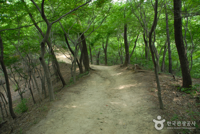 thumbnail-Bomunsan Forest Trail (보문산 행복 숲 둘레길)-11