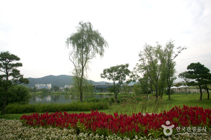순천만 국가정원 사진2