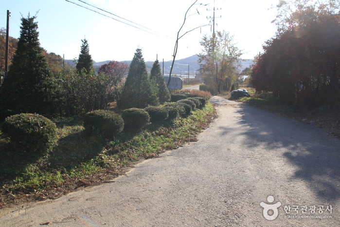 [Parcours 7 du chemin Ganghwa] Chemin vers la marée ([강화 나들길 제7코스] 낙조보러 가는 길)