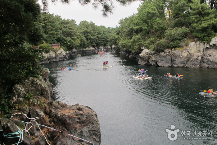 서귀포 전기버스 시티투어0