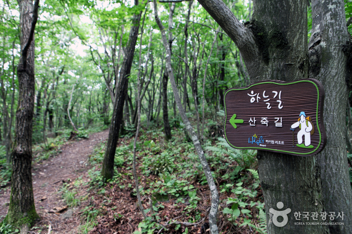 마운틴 정상에서 운탄고도로 연결되는 하늘길