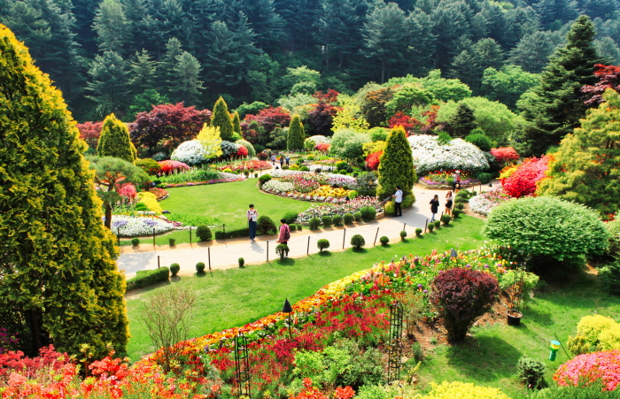 Destinations by Region : VisitKorea Destinations by Region The Garden of Morning  Calm (아침고요수목원) | Official Korea Tourism Organization