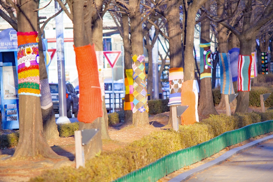 고양시 트리니팅 프로젝트1