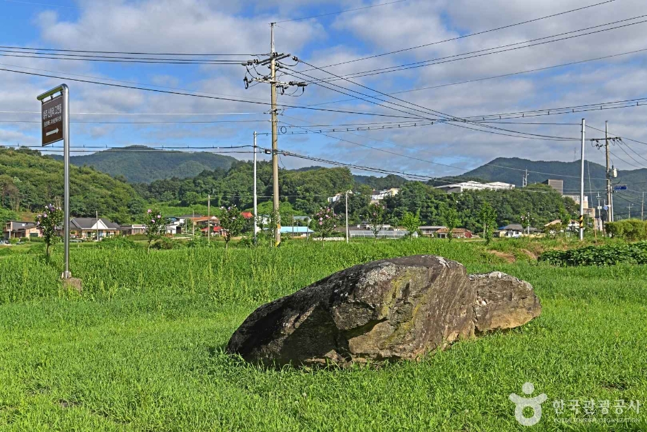 충주 신청리 지석묘