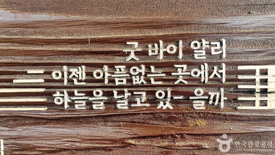 경기_성남_신해철거리(성남) (11)