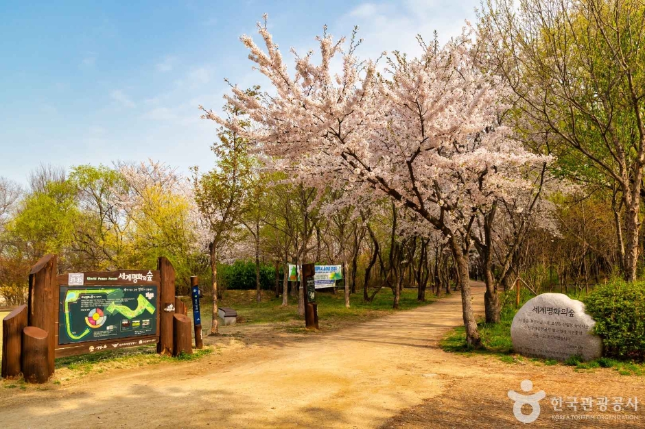 세계평화의숲