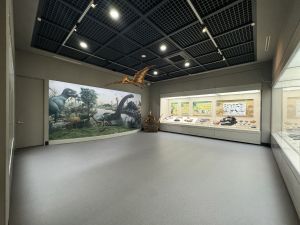 광주_전남대학교 박물관 (4)