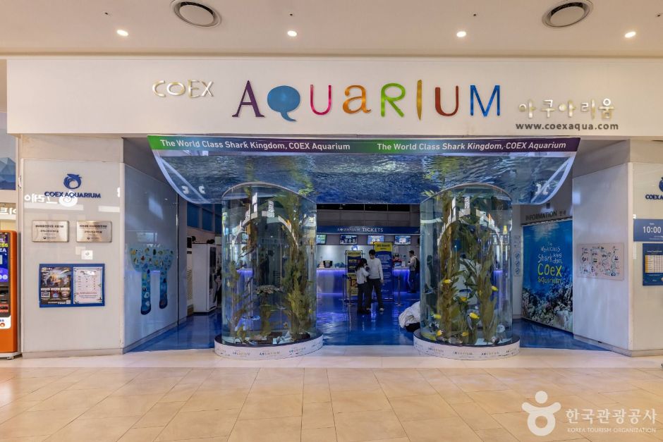 thumbnail-강남 마이스 관광특구-15