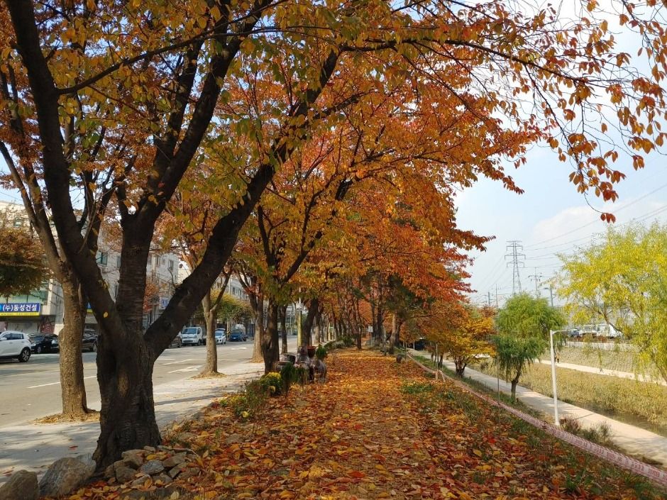 [시흥 늠내길 5코스] 정왕둘레길