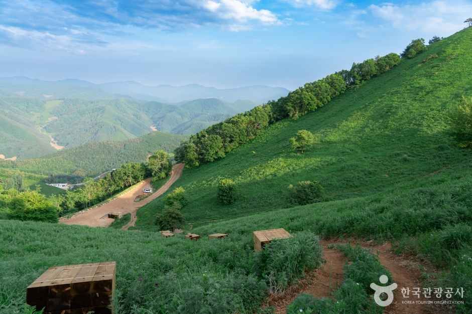 민둥산