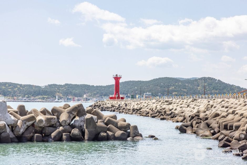이동항