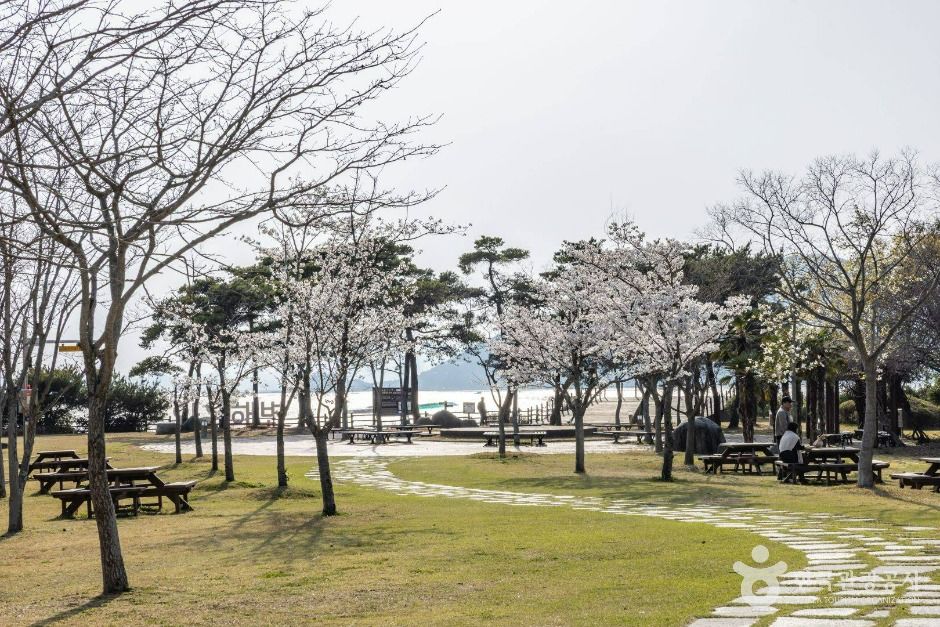 와온공원
