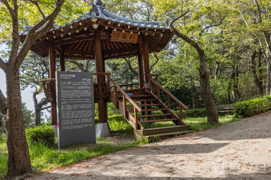 신선대(부산)