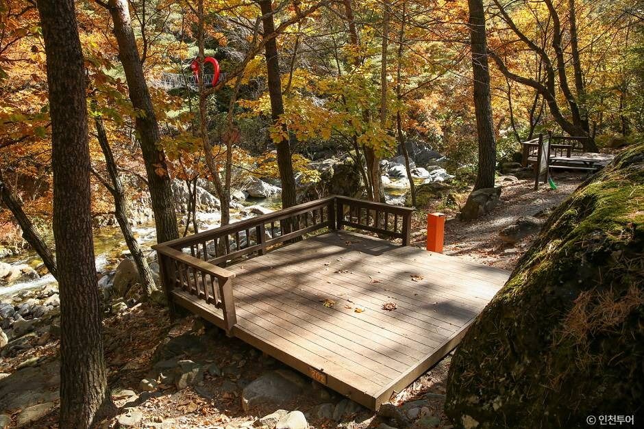 국립 가리왕산자연휴양림