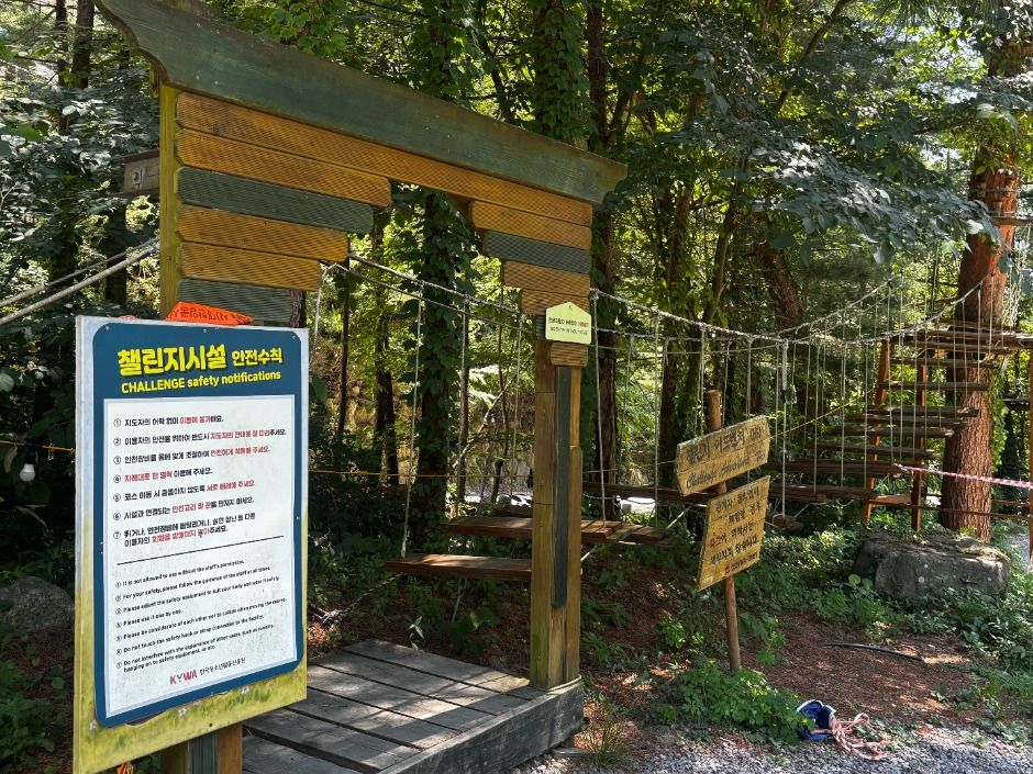 thumbnail-피노키오청소년수련원(피노키오 캠핑장)-26