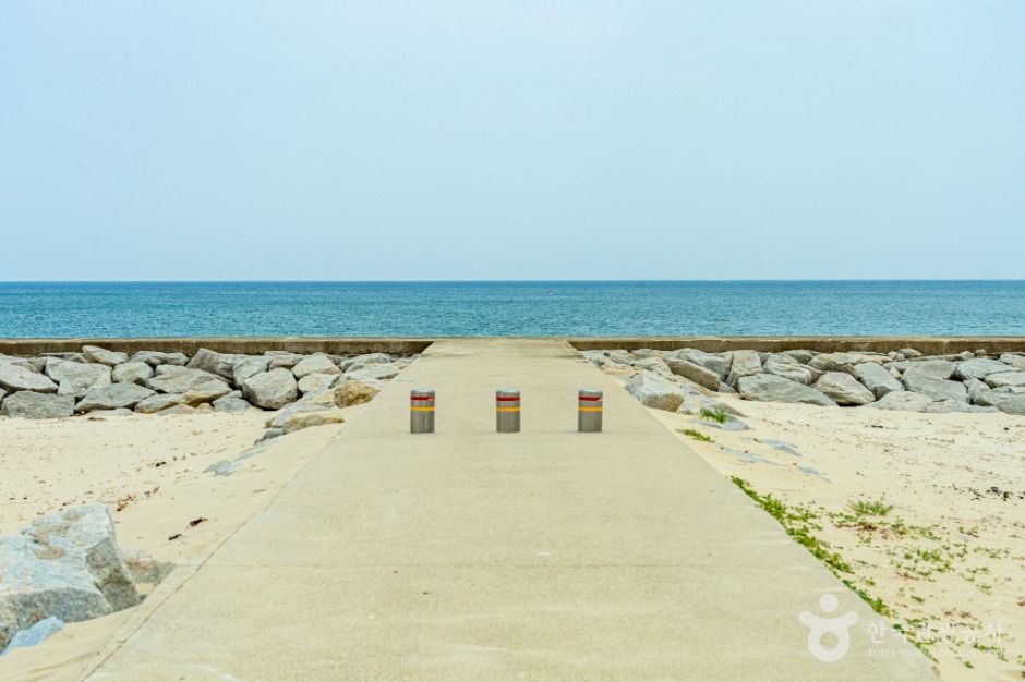 거진11리해변