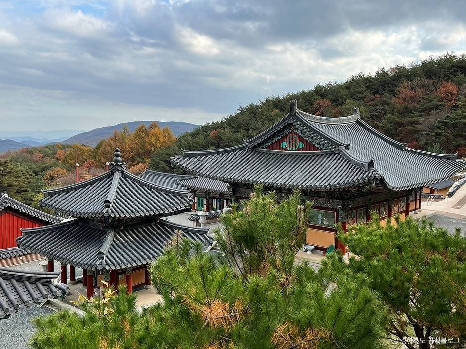 심원사(성주)